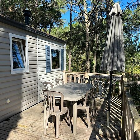 Camping-Village Vacances Les Deux Etangs Seignosse Exteriör bild
