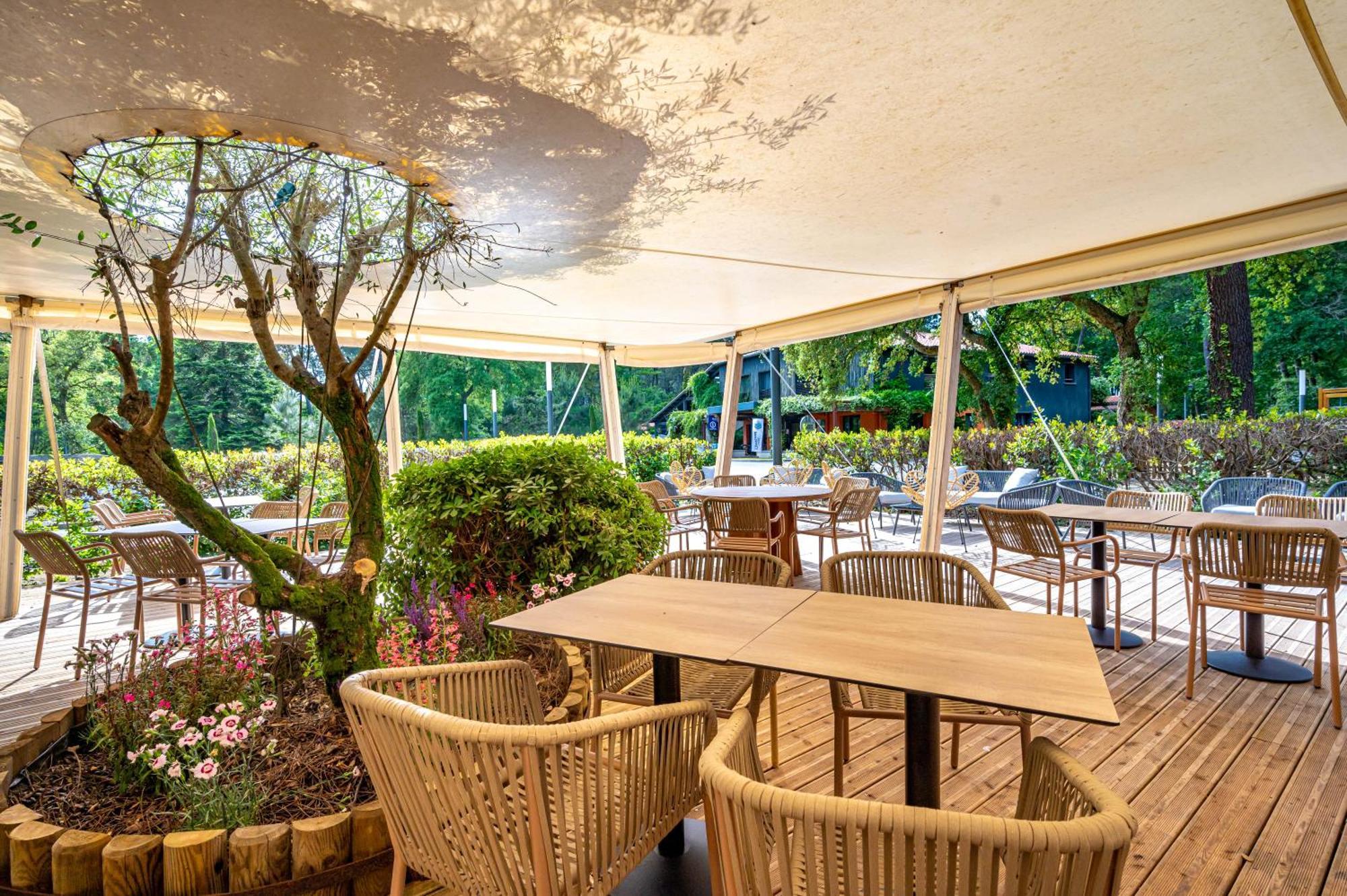 Camping-Village Vacances Les Deux Etangs Seignosse Exteriör bild