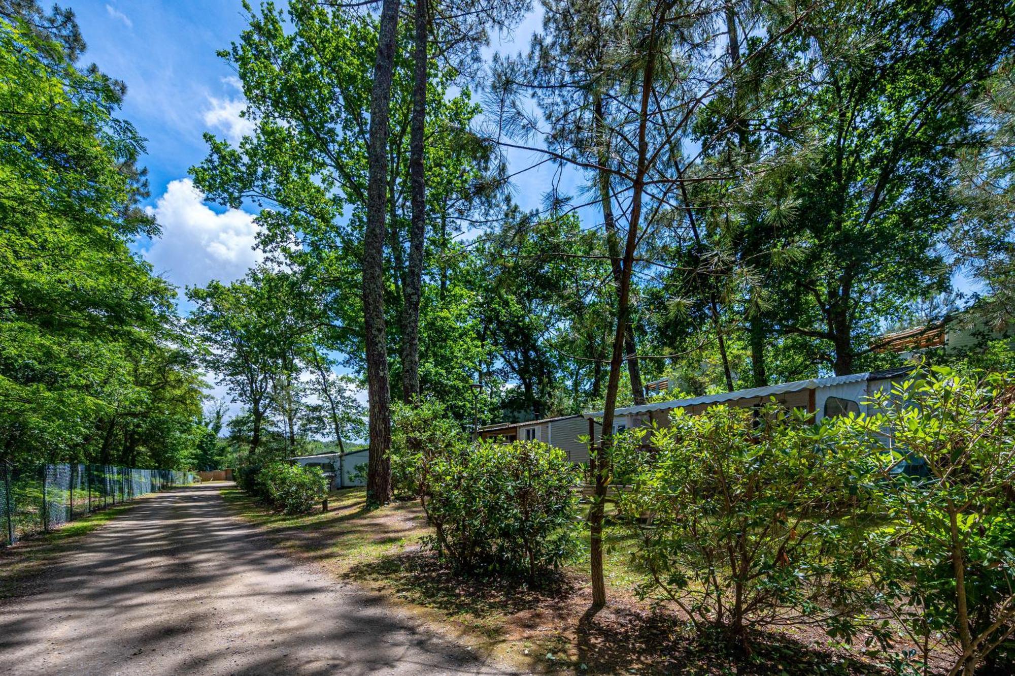 Camping-Village Vacances Les Deux Etangs Seignosse Exteriör bild